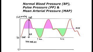 Normal Blood Pressure BP Calculation of Pulse Pressure PP amp Mean Arterial Pressure MAP [upl. by Mehetabel]