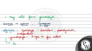 Which type of lifecycle is shown by Kelps Ectocarpus and Polysiphonia a Haplontic b Diplont [upl. by Nosreme]