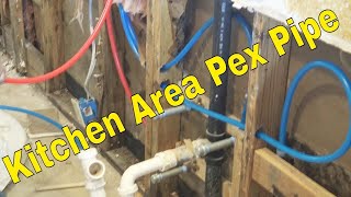 Upgrade Your Kitchen With A New Pex Pipe Installation [upl. by Branen]