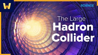 The Large Hadron Collider  Sean Carroll [upl. by Barthold353]