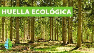 ¿Qué es la HUELLA ECOLÓGICA 👣 CALCULAR huella ecológica [upl. by Yerffoeg]