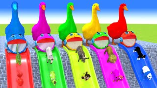 Paint Animals Cow Duck Elephant Tiger Hippo Funny 3d Animal Transformation Crossing Fountain Game [upl. by Yhotmit]