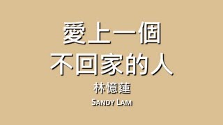 林憶蓮 Sandy Lam  愛上一個不回家的人【歌詞】 [upl. by Averi]