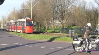 Beautiful Trams in Delft Netherlands [upl. by Anileda]