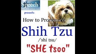 How to Pronounce Shih Tzu [upl. by Oicam]