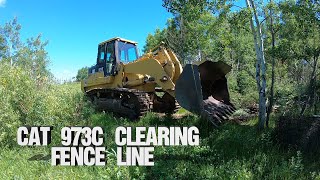 Fence Line Clearing Job CAT 973C Track Loader Part 1 [upl. by Yelrihs]