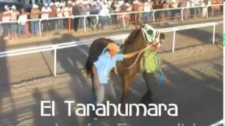 El Alebrije Vs El Tarahumara  Carrera del Siglo  Carreras de Caballos [upl. by Nwahsid]