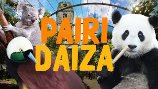 Pairi Daiza  Der schönste Zoo Europas  Zoo Eindruck [upl. by Kalfas]