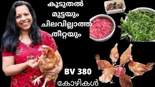 BV380 മുട്ടക്കോഴിപരിപാലനവും ചിലവില്ലാത്ത ഭക്ഷണരീതിയുംpoultry farm [upl. by Euqinim]