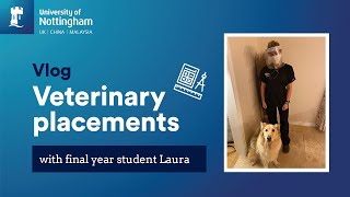 Vlog  Veterinary placements [upl. by Eenattirb]