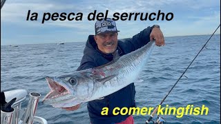 PESCANDO MACARELAS Y KINGFISH EL SERRUCHO 2114 libras EP181 [upl. by Ruprecht641]