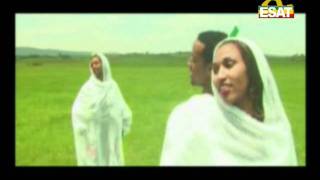 EM62 Tibebu Workiye ethiopia Ethiopian Music [upl. by Hachmin]