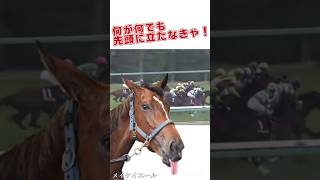 メイケイエール 〜 譲れないもの 【リメイク版】競馬 [upl. by Biddick127]