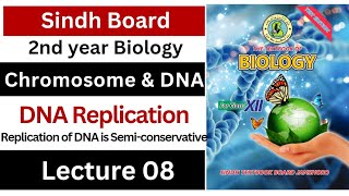 DNA replication  introduction  chromosome and DNA  class 12 biology Sindh board new book [upl. by Atnwahsal390]