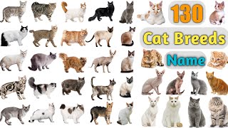 Cat Breeds Vocabulary ll 130 Cat Breeds Names In English With Pictures ll 100 Popular Cats [upl. by Lolly669]