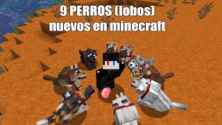 Consiguiendo los 9 perros lobos NUEVOS de minecraft [upl. by Berne988]