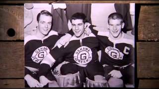 Boston Bruins History  Part 1 [upl. by Einhpets]