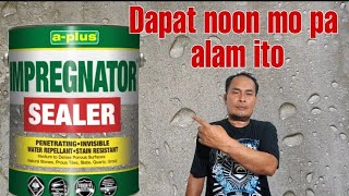 PARA SAAN GINAGAMIT ANG IMPREGNATOR SEALER bestvarnishpaintsideasandtechniques [upl. by Egroj]