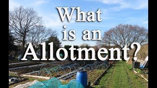 What is an allotment Growing food in the UK [upl. by Christmann]