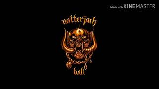 Natterjack Anjing Koruptor [upl. by Ahsytal]