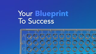 RampD Systems Quantikine ELISA Kits  Your Blueprint to Success [upl. by Ennylcaj]