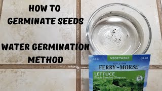 How To Germinate Seeds  Water Germination Method [upl. by Beitch775]