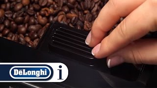 How to Clean the PreGround Coffee Funnel of Your DeLonghi Autentica ETAM 29660SB [upl. by Keily619]