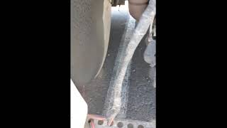 DEF dosing valve cleaning on Freightliner cascadia dd15 [upl. by Doowron]