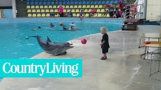 Adorable Toddler Plays Fetch With Playful Dolphin  Country Living [upl. by Nedap]