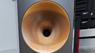 quotFIRST LOOK AT THE ZINGALI ACOUSTICS TWENTY EVO 12squot 🎧 [upl. by Langill]