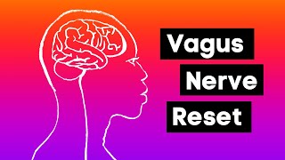 Mindfulness Exercise Vagus Nerve Reset [upl. by Rhoda]