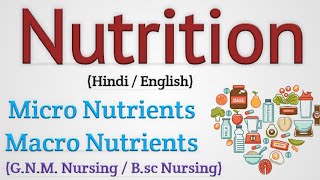 What are Macronutrients [upl. by Tolecnal165]