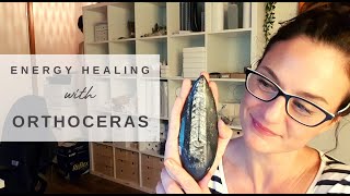 Orthoceras  Why I love it and how to use it in Crystal Healing Sessions [upl. by Ahsas]