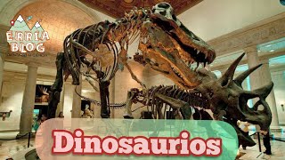 Dinosaurios fósiles y animales sorprendentes en Museo de Historia Natural Los Angeles California [upl. by Phelgen]