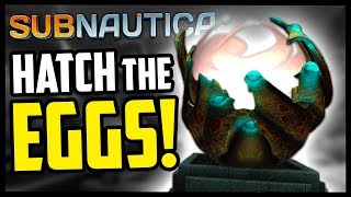 HATCHING THE SEA EMPEROR EGGS Hatching Enzymes Infection Cure  Subnautica  Gameplay [upl. by Frodina996]