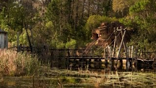 Could Disneys Closed River Country Ride Be Perfect Place for Gators to Thrive [upl. by Einnaoj]