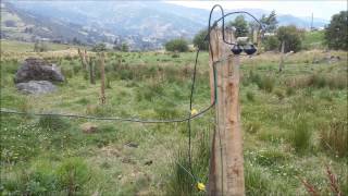 EXTENSIÓN RURAL INSTALACIÓN CORRECTA DE IMPULSOR PARA CERCA ELECTRICA BALKRAN [upl. by Anirtac]