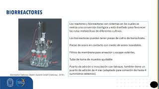 4 G4 Cultivo de microalga Haematococcus Pluvialis [upl. by Cini]