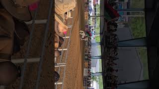 Bill Pickett Rodeo [upl. by Ahkos]