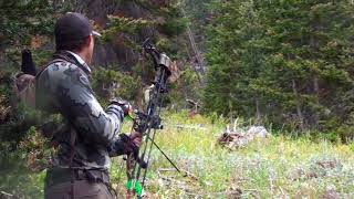 2023 Wyoming Archery Elk Hunt [upl. by Oizirbaf283]