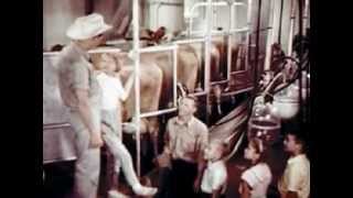 Uncle Jims Dairy Farm 1963 [upl. by Anitsua]