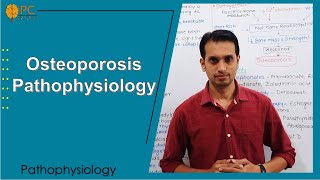 Osteoporosis Pathophysiology  Bone Disorder [upl. by Landsman149]