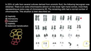 Haploidy Monosomy Mosaicism Trisomy Balanced translocation explained [upl. by Edyak]