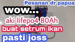 Pesanan Baterai LifePO4 12V 80Ah bms daly 100A plus charger untuk setrum ikan [upl. by Allemahs]