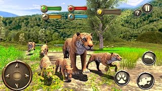 Wild Tiger Survival Simulator by Vital Games Production Android Gameplay HD [upl. by Sezen969]