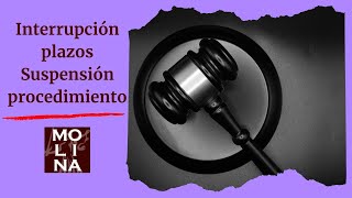 INTERRUPCIÓN de los Plazos y la SUSPENSIÓN del procedimiento civil LEC  Novedades RDL 52023 [upl. by Eentruok]