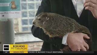 The legend behind Punxsutawney Phil [upl. by Anilrahc]