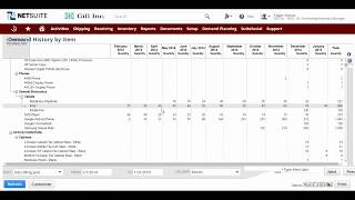 NetSuite Demand Planning [upl. by Adnileb407]