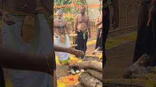 Homa gundam pooja youtubeshorts ayyappasongs tamilmusic ayyapasongs ayyappa tamilsong shorts [upl. by Genie839]