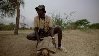 Tomas Diagne – Africa’s ‘Father of Turtles’ [upl. by Lovering]